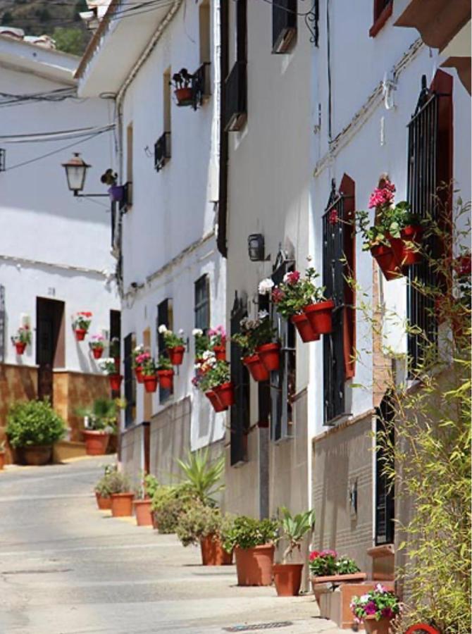 Mirasierrahome... Tu Hogar De Vacaciones! Alora Buitenkant foto
